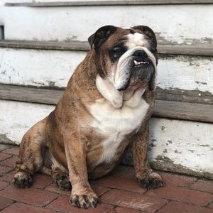 Meet your Posher, Grace